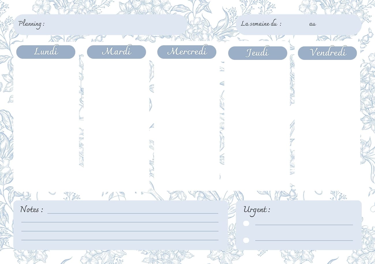Canva Creator