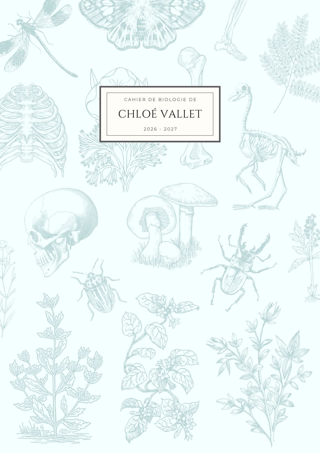 Canva Creator