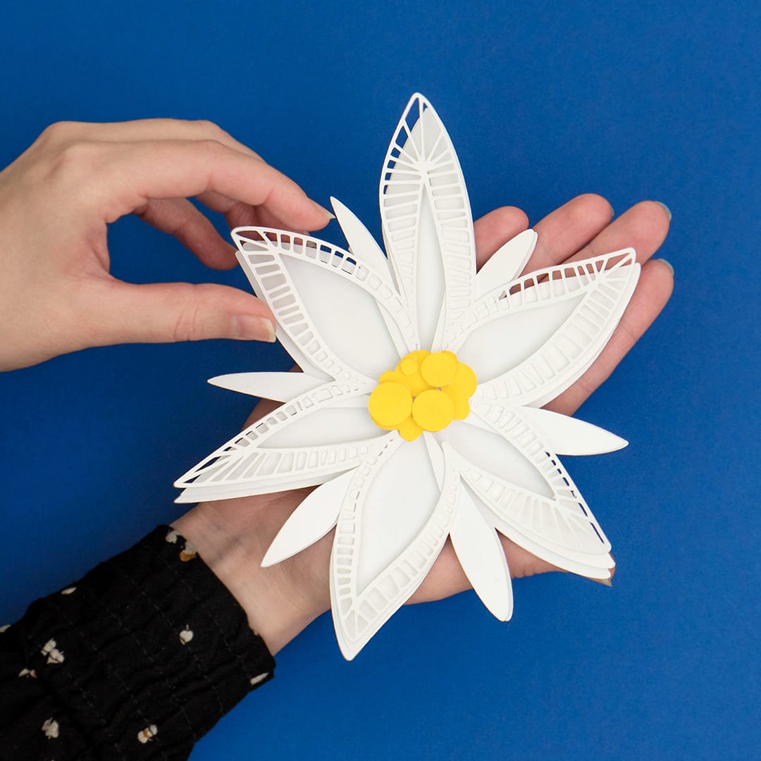 Edelweiss en paper art
